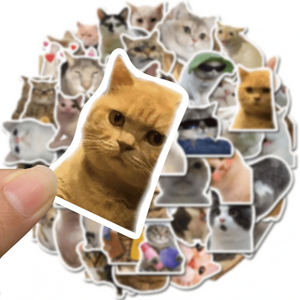 50 Stickers — Cat Memes